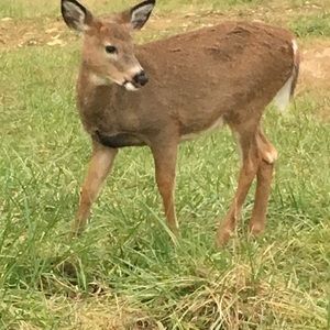 Meet your Posher, Bill